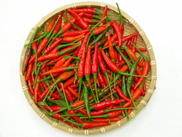Cách ngăn chặn mối mọt ăn gỗ xâm nhập