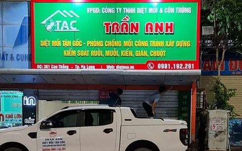 công ty diệt mối trần anh