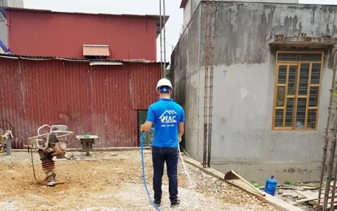 dịch vụ phòng chống mối