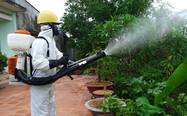 Hướng dân loại bỏ mối tận gốc cho cây trồng