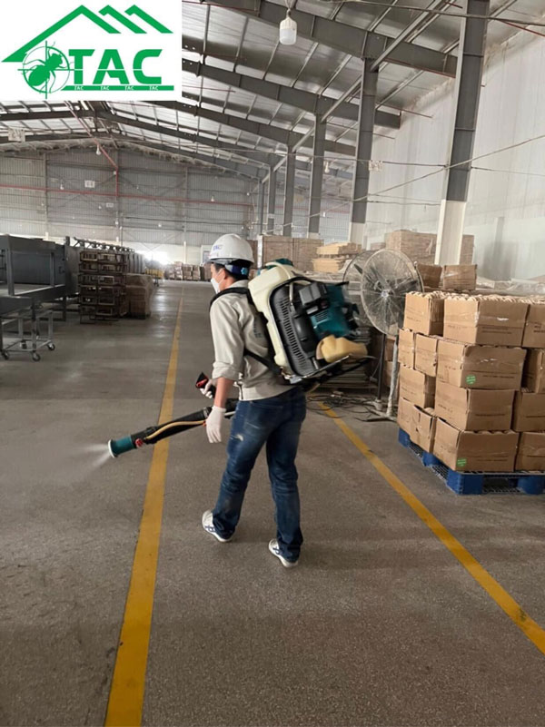 Dịch vụ diệt mối giá rẻ ở quận Dương Kinh