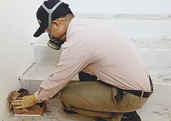 mùi thuốc diệt mối có độc hại hay không