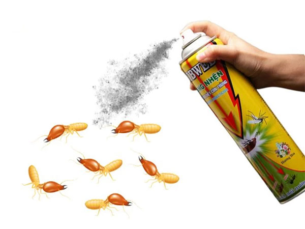 thuốc xịt côn trùng có diệt được hết mối không